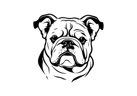 bulldog svg free|bulldog image svg free.